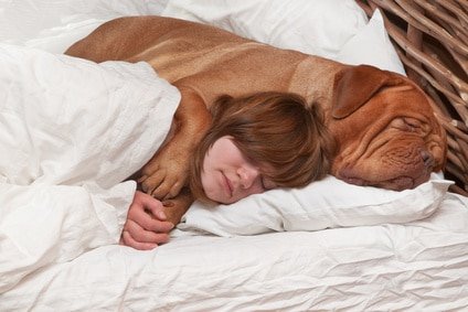 Peut on dormir avec son chien sur le lit